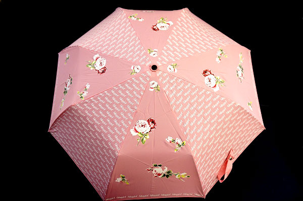 ブルーガール 花英字折りたたみ傘