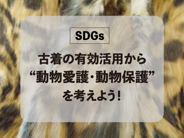 『SDGs』古着の有効活用から動物愛護・動物保護を考えよう！